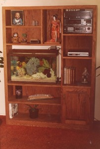 Call Entertainment Center Oak     