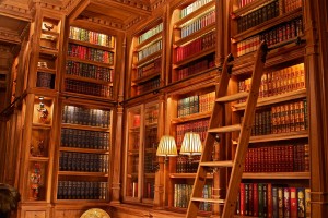 Doug Sr. Home Library Long Wall With Ladder Detail Walnut Wood       