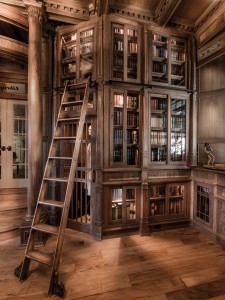Doug Sr. Home Library Bookshelves With Ladder and Skeleton In Closet       